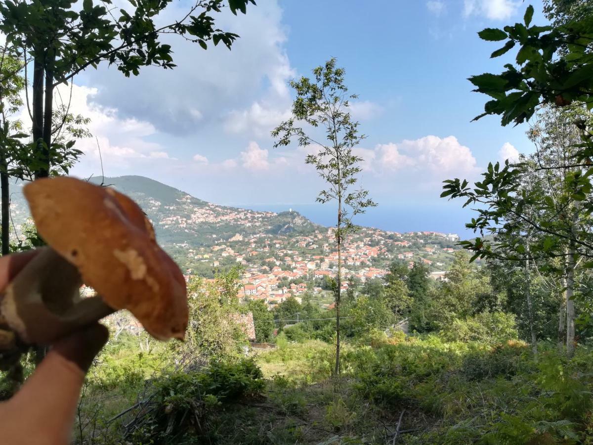 Blanche Διαμέρισμα Agerola Εξωτερικό φωτογραφία